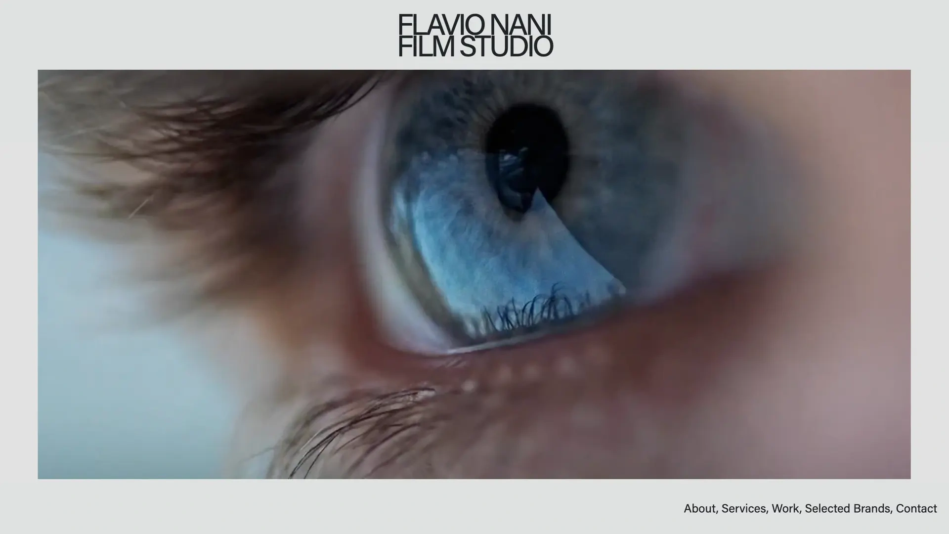 Flavio Nani — website overview