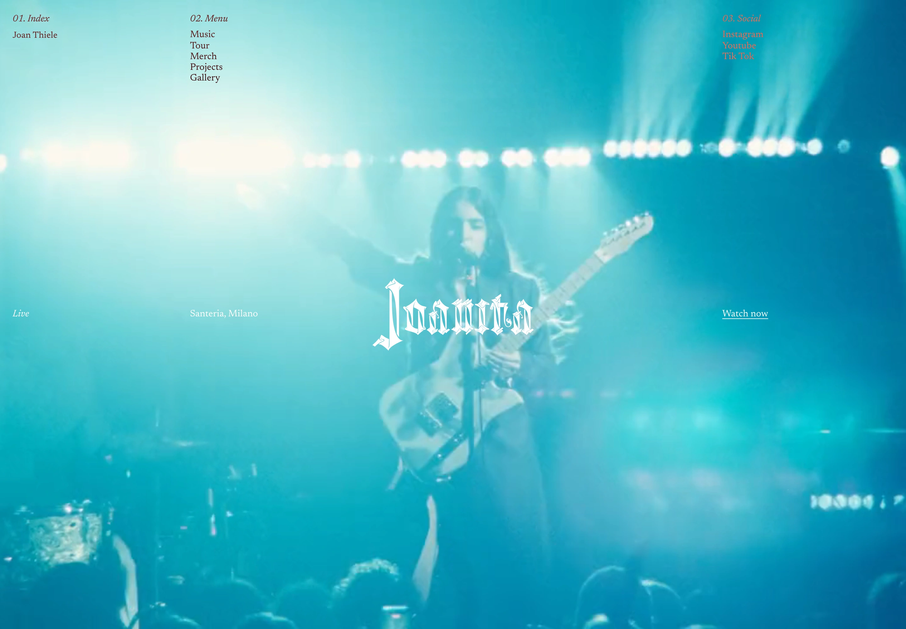 Joan Thiele — website overview