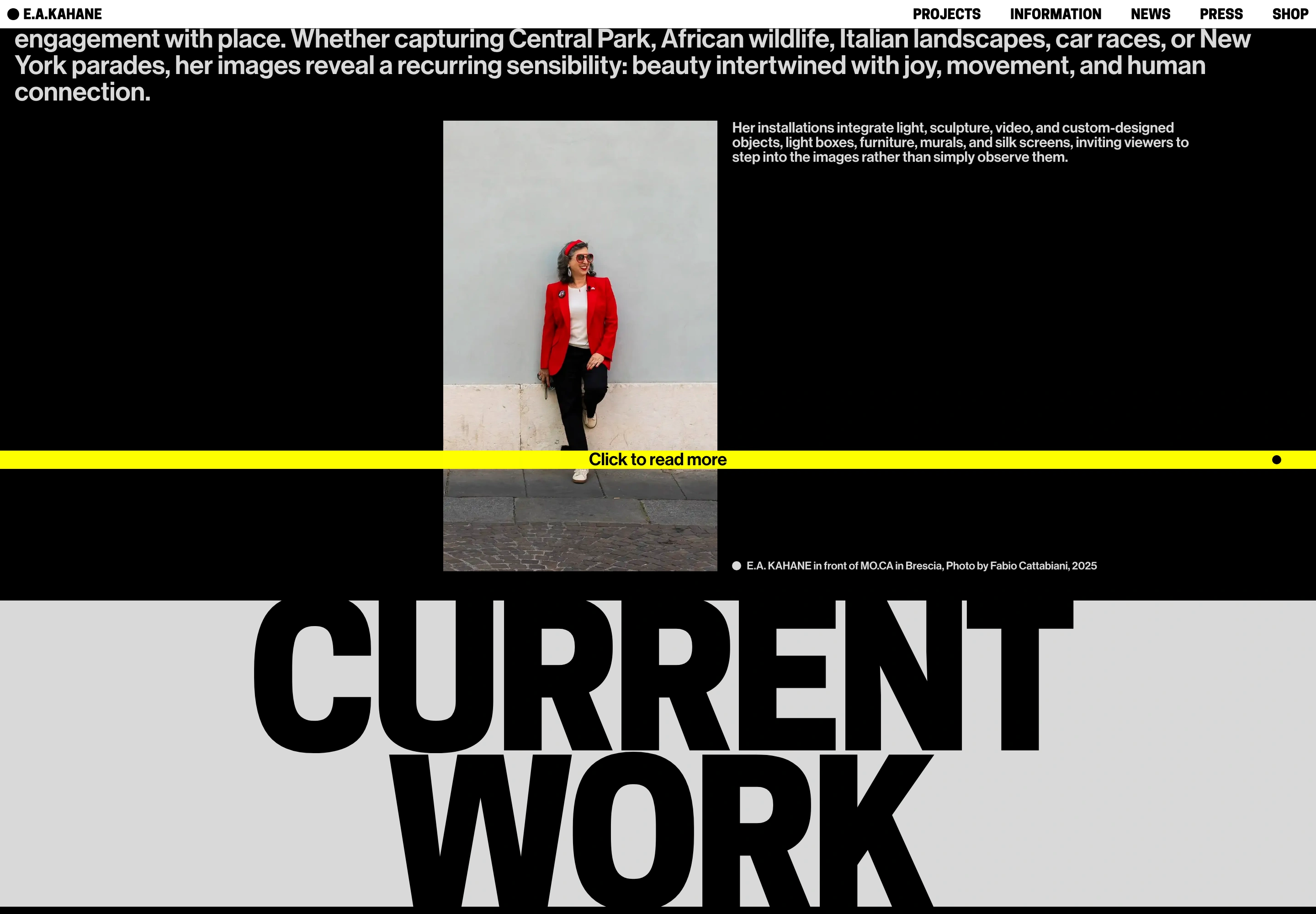 E.A. Kahane desktop — Artist biography and portrait