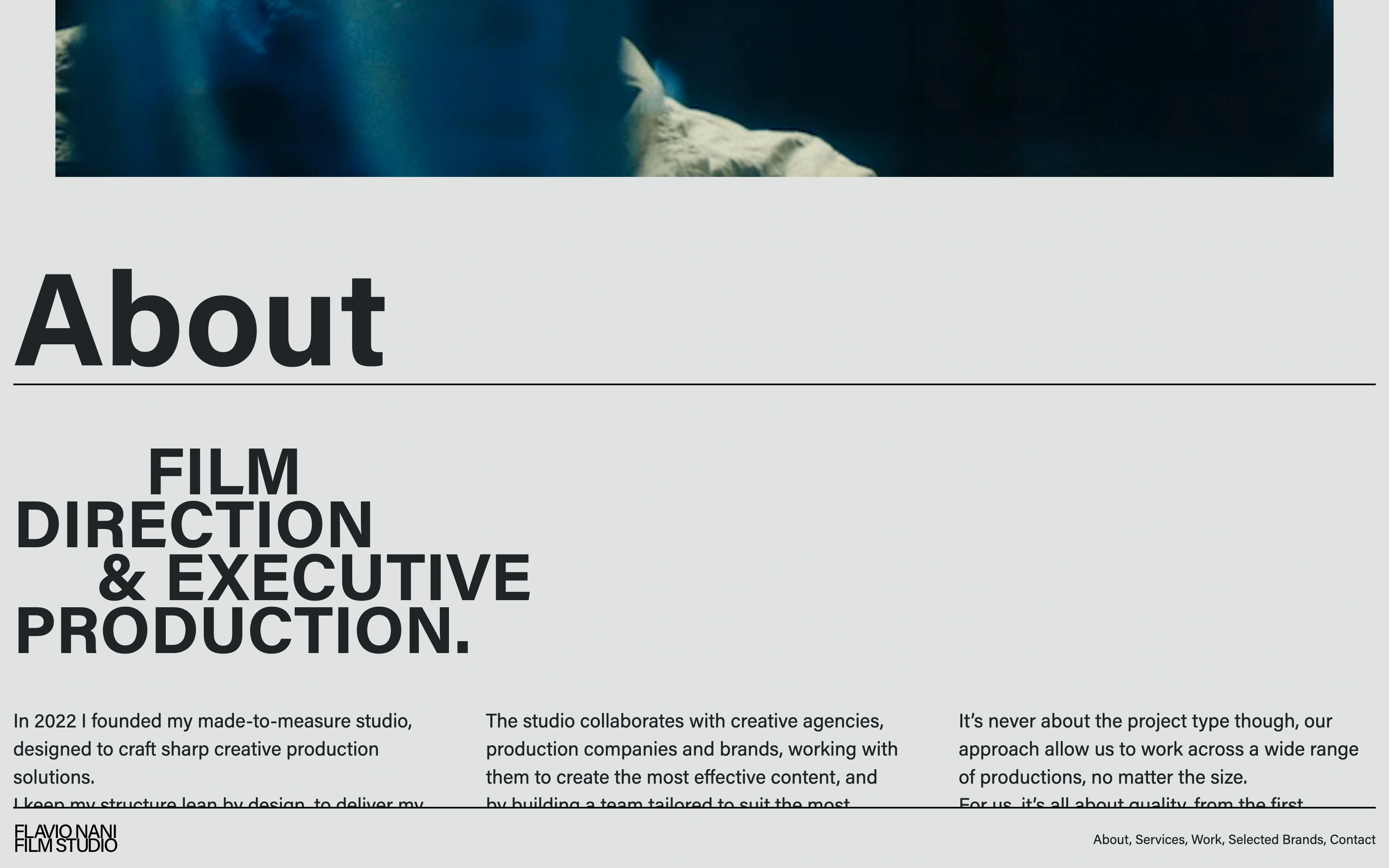 Flavio Nani desktop — about spread with the production statement