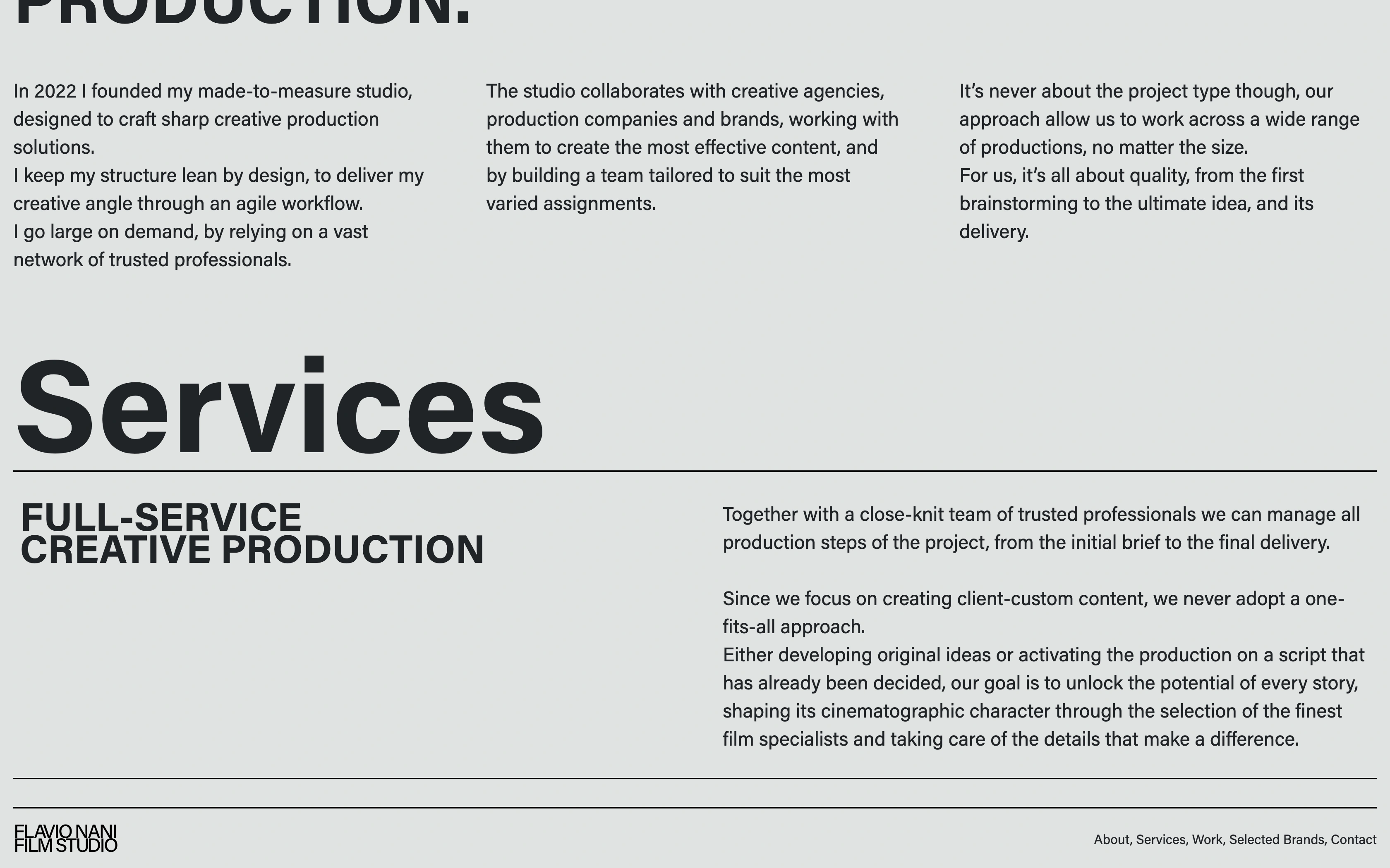 Flavio Nani desktop — services overview