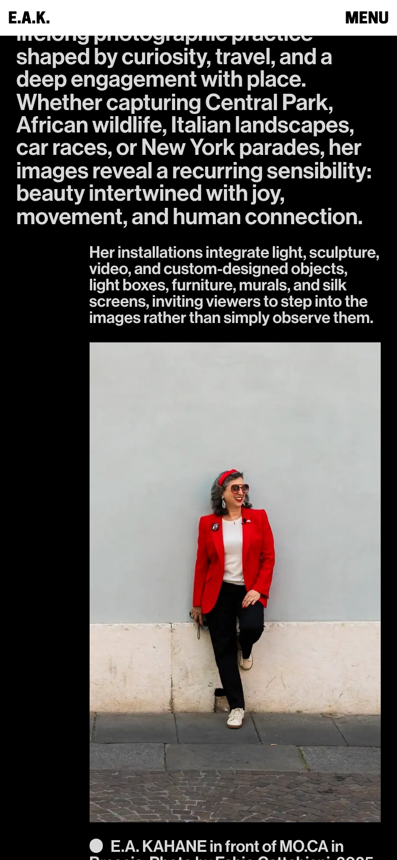 E.A. Kahane mobile — Artist biography and portrait